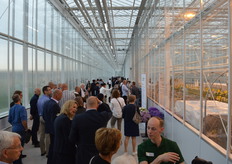 We maken een rondje rond (maar omwille van de hygiëne niet dóór) de kas en ontmoeten onderweg verschillende medewerkers die vertellen over de verschillende planten en highlilghts uit het assortiment.